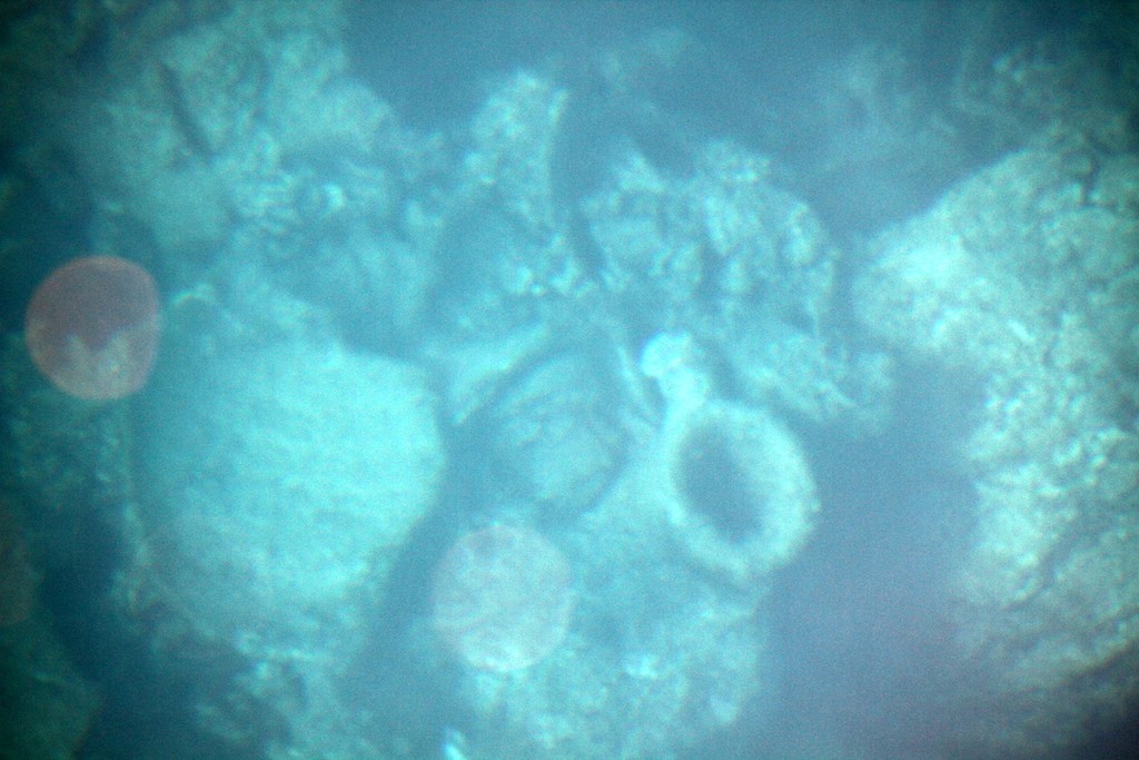 Amphora on the sea floor in Kekova - 2012 Lycian Rally Wraps Up Successfully in Antalya © Maggie Joyce